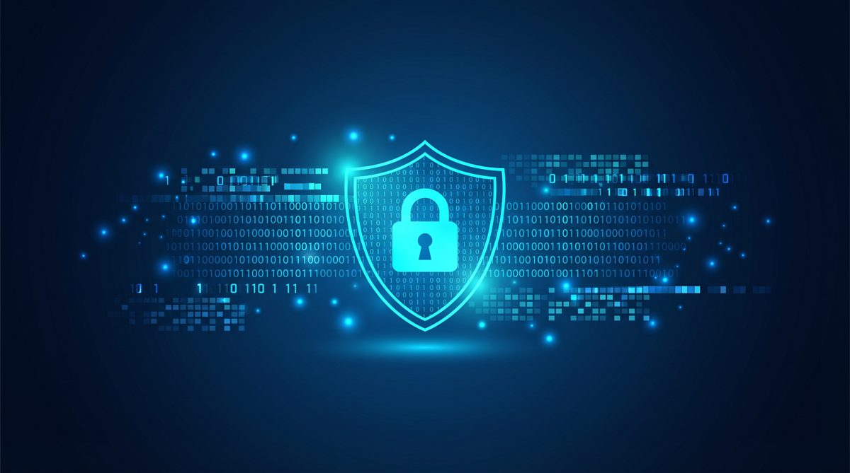 蝶粉加速器隐私安全保护